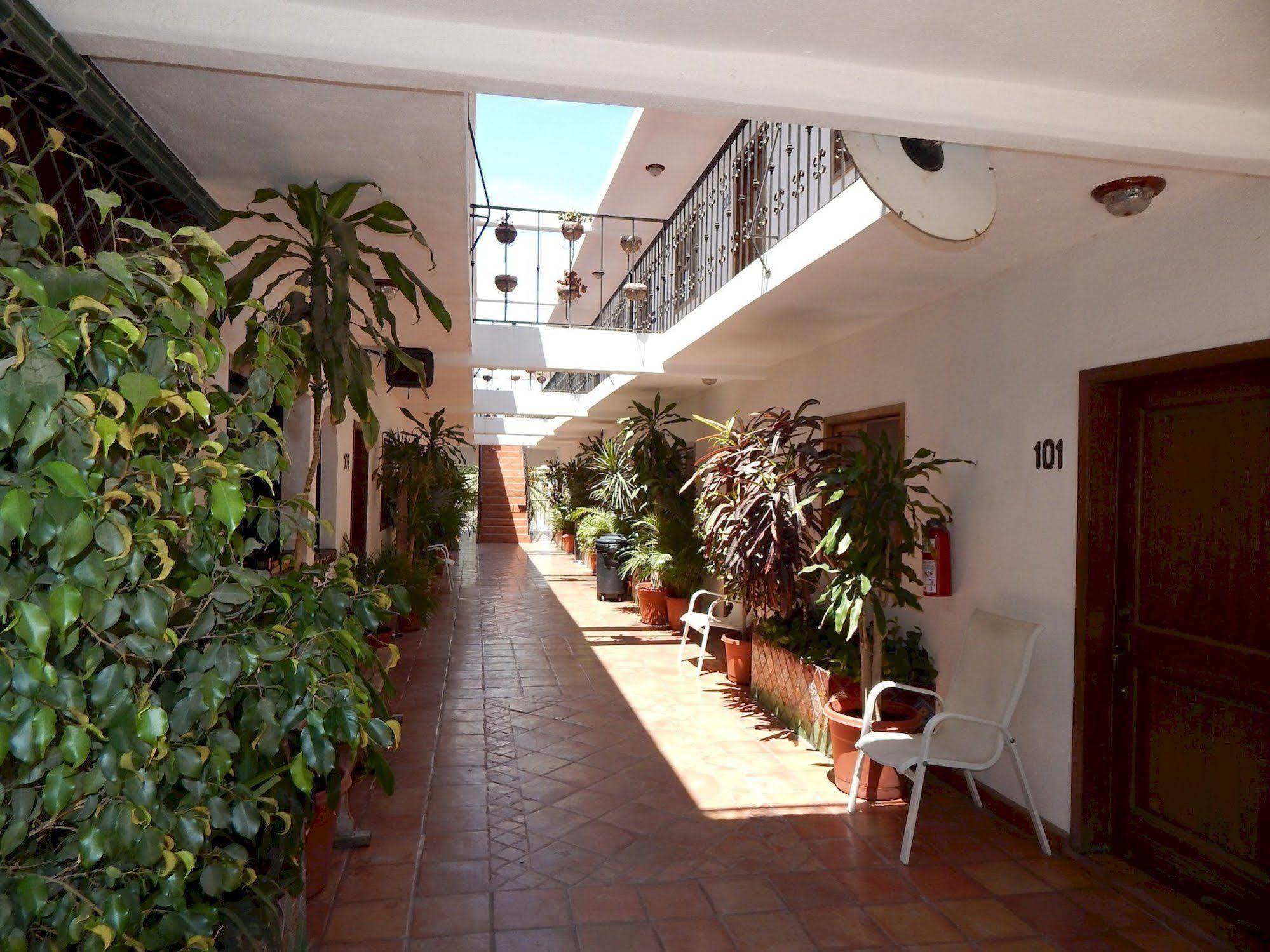 Cabo Cush Hotel Cabo San Lucas Exterior photo